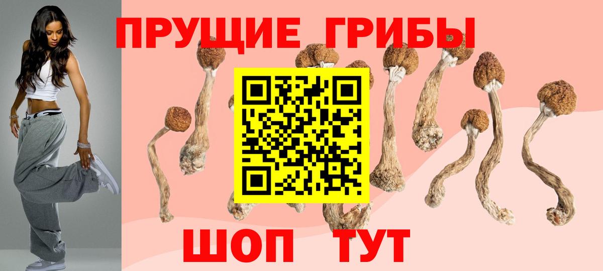 Галлюциногенные грибы GOLDEN TEACHER  Вход с VPN  Белореченск 